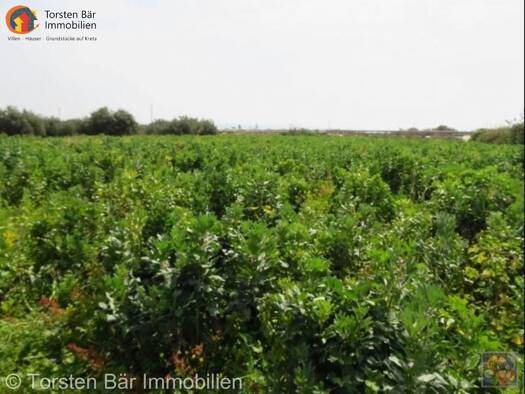 Grundstück zum Kauf 106.900 € 4.200 m² Grundstück * * Makrigialos, 720 00