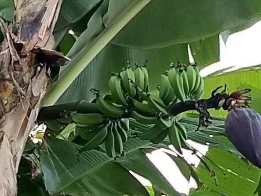 Wohnung zum Kauf 151.000 € 3 Zimmer 62 m² 2. Geschoss frei ab sofort Karl Reimann Ring Roter Berg Erfurt 99091