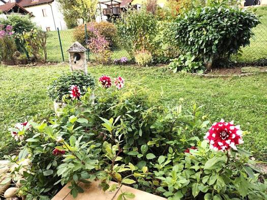 Wohnung zur Miete 1.340 € 4 Zimmer 145 m² frei ab 01.12.2025 Margetshöchheim 97276