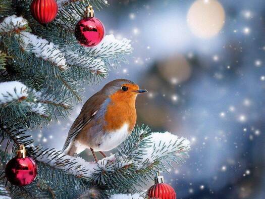 Haus zum Kauf 494.555 € 8 Zimmer 148 m² 425 m² Grundstück Langenhorst Ochtrup 48607