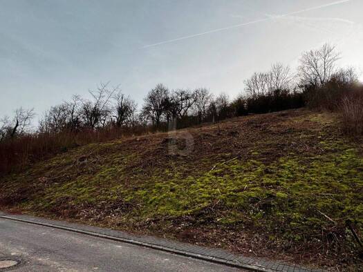 Grundstück zum Kauf 79.000 € 839 m² Grundstück Welschbillig 54298