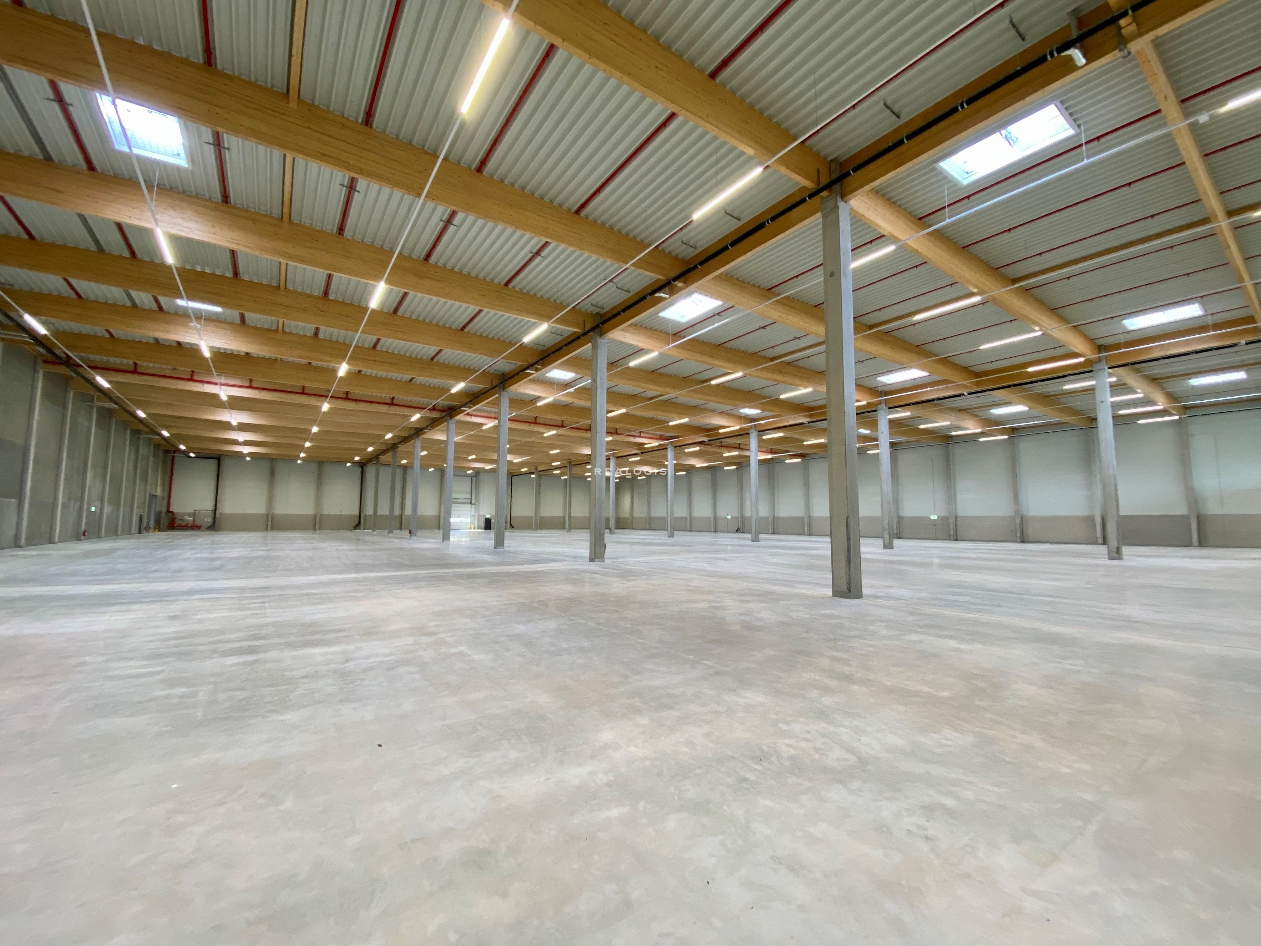 Halle/Industriefläche zur Miete provisionsfrei 23.530 m²<br/>Lagerfläche ab 7.814 m²<br/>Teilbarkeit Gifhorn Gifhorn 38518