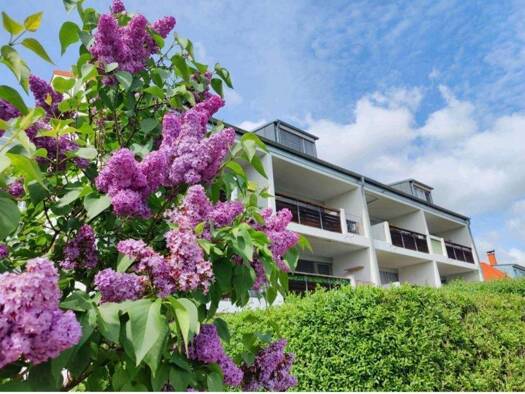 Wohnung zur Miete 519 € 2 Zimmer 58 m² 2. Geschoss Kastanienweg 15 Queis 06188