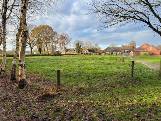 Mehrfamilienhaus zum Kauf 199.000 € 10 Zimmer 300 m² 6.574 m² Grundstück Plaggenburg Aurich / Plaggenburg 26607