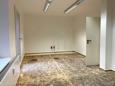 Büro-/Praxisfläche zur Miete provisionsfrei 295 € 2 Zimmer 73 m² Bürofläche Leer Leer 26789