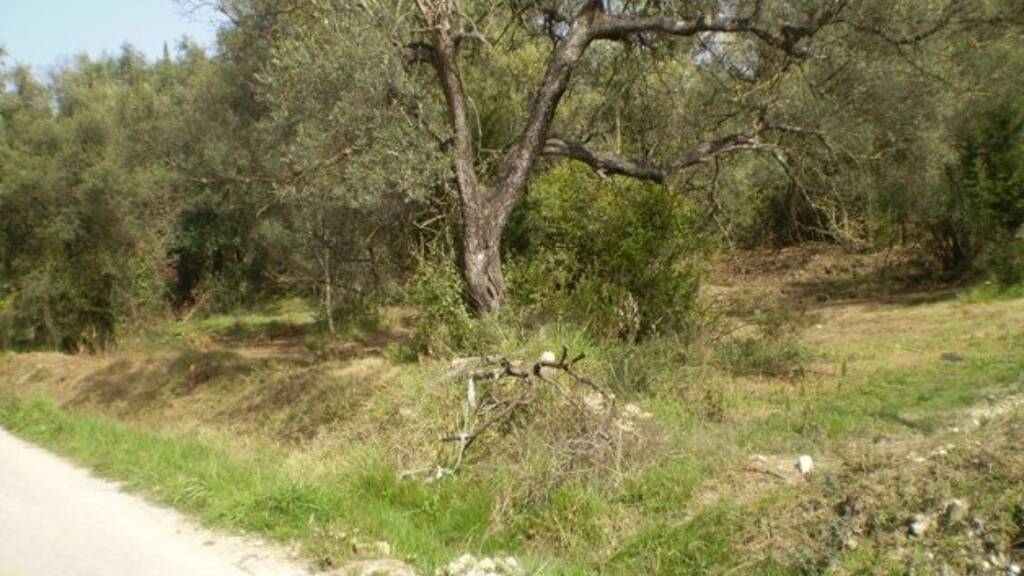 Grundstück zum Kauf 250.000 € 12.500 m² Grundstück Sfakera 49100