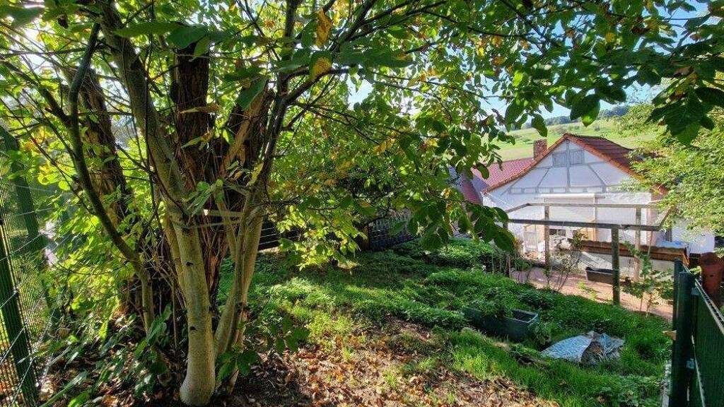 Einfamilienhaus zum Kauf 210.000 € 4 Zimmer 75 m² 724 m² Grundstück Breitenbrunn Lützelbach / Breitenbrunn 64750