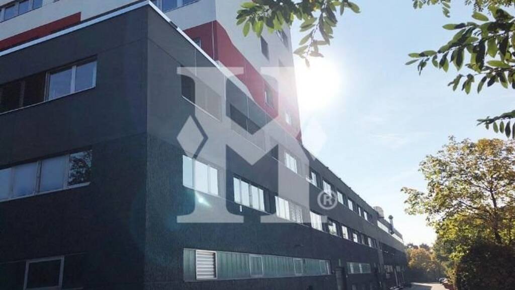 Bürofläche zur Miete 299 m² Bürofläche Schwalbach 65824