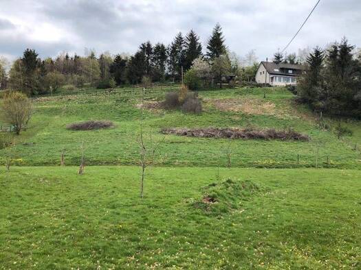 Grundstück zum Kauf 45.900 € 950 m² Grundstück Ormont 54597