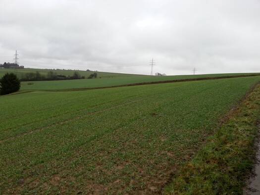 Landwirtschaftliche Fläche zum Kauf Niederberg Koblenz 56070
