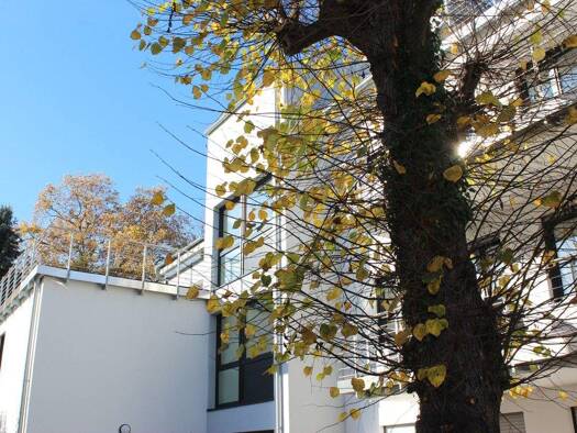 Penthouse zur Miete 1.500 € 3 Zimmer 95,2 m² 3. Geschoss frei ab 01.12.2025 Oberkassel Bonn 53227