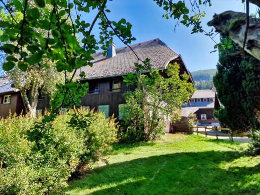 Wohnung zum Kauf 249.000 € 4,5 Zimmer 83 m² 1. Geschoss Menzenschwand St. Blasien 79837