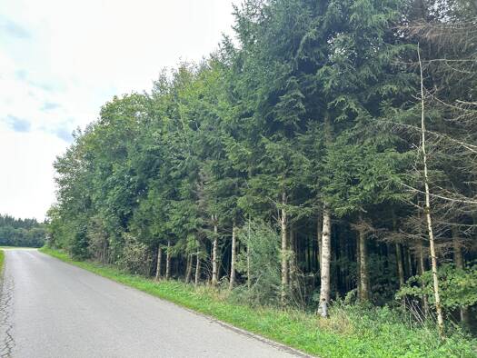 Land-/Forstwirtschaft zum Kauf 79.000 € 10.000 m² Grundstück Seppl i Holz Vogtareuth 83569