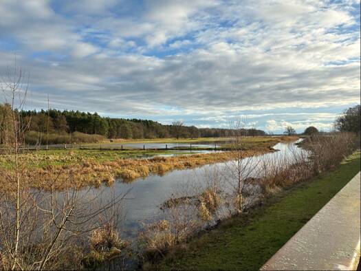 Mehrfamilienhaus zum Kauf 320.000 € 5 Zimmer 209,6 m² 2.318 m² Grundstück Rosien 19273