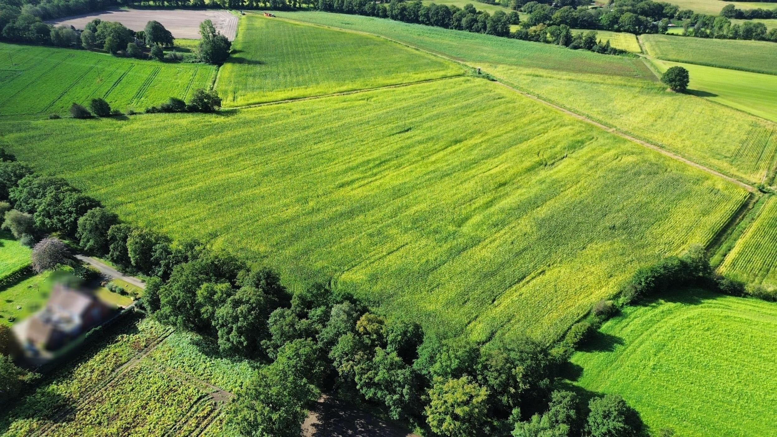 Landwirtschaftliche Fläche zum Kauf 75.844 m²<br/>Grundstück Wahlbezirk 106 Nordhorn 48531