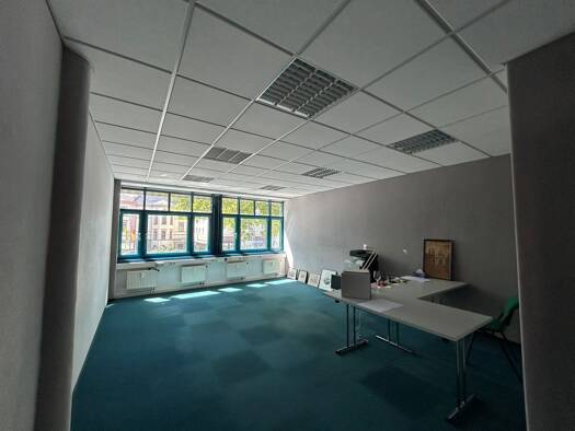 Bürofläche zur Miete 10 € 190 m² Bürofläche Bergheim Heidelberg 69115