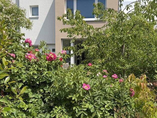 Reihenendhaus zum Kauf provisionsfrei 690.000 € 5,5 Zimmer 143 m² 298 m² Grundstück Göttingen 37081