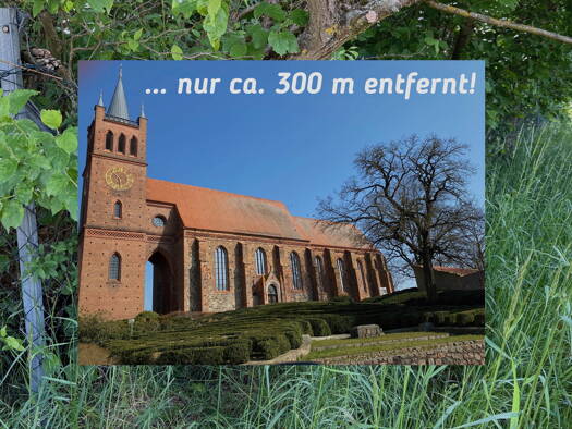 Grundstück zum Kauf 74.800 € 850 m² Grundstück Müncheberg 15374