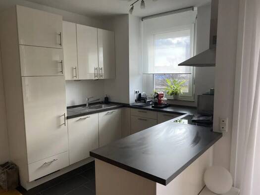 Wohnung zur Miete 1.015 € 2 Zimmer 59 m² frei ab sofort Bogenhausen München 81927
