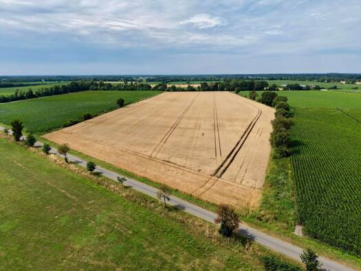 Landwirtschaftliche Fläche zum Kauf 53.536 m² Grundstück Itterbeck 49847