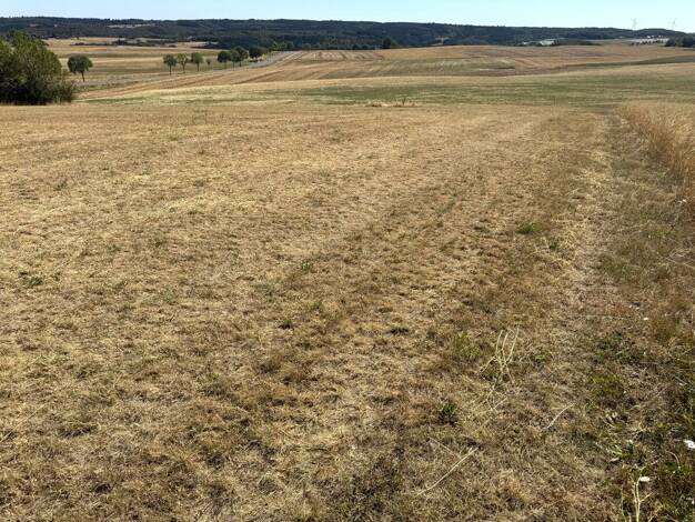 Land-/Forstwirtschaft zum Kauf 160.000 € 103.568 m² Grundstück Holzmülheim Nettersheim 53947