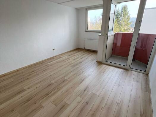 Wohnung zur Miete 400 € 1 Zimmer 28 m² Geschoss 5/8 frei ab sofort Homburg 66424