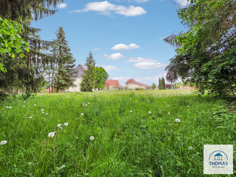 Grundstück zum Kauf 80.000 € 1.526 m²<br/>Grundstück Sebnitz Sebnitz 01855