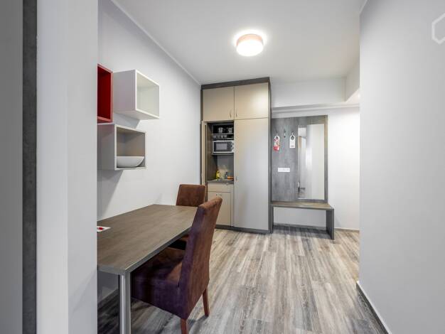 Studio zur Miete Wohnen auf Zeit 1.850 € 1 Zimmer 28 m² frei ab sofort Pasing-Obermenzing München 81247