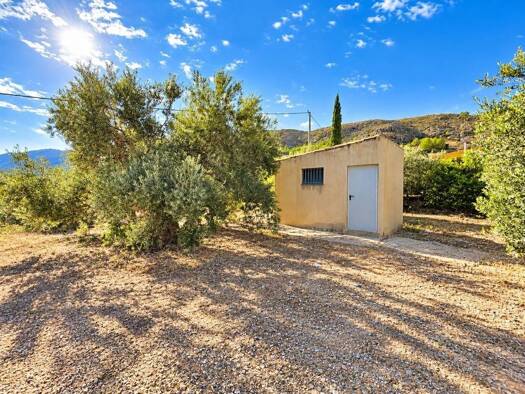 Acker-/Waldstück zum Kauf 22.000 € Calasparra 30420