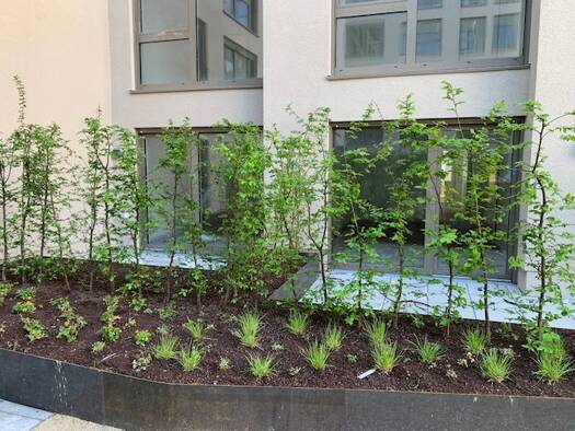 Terrassenwohnung zum Kauf - Neubau provisionsfrei 389.900 € 1 Zimmer 51,3 m² EG Neustadt Mainz 55118