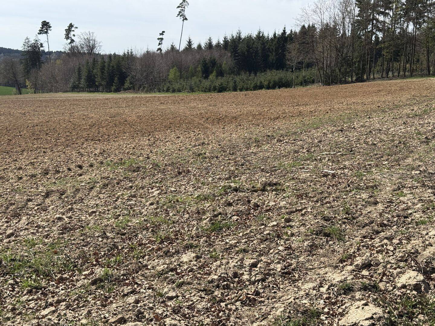 Land-/Forstwirtschaft zum Kauf - Ansicht 2