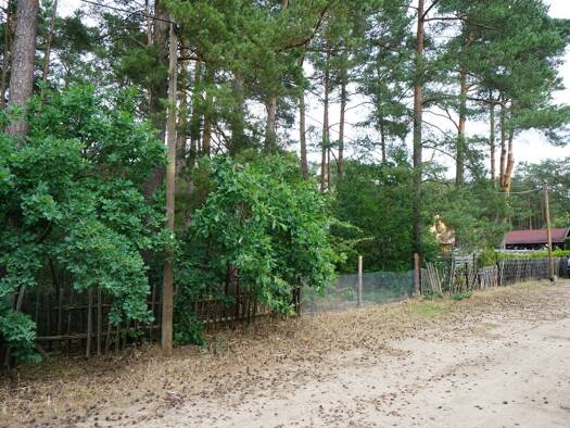 Grundstück zum Kauf 249.000 € 1.600 m² Grundstück Birkenstraße 24A Borkwalde 14822