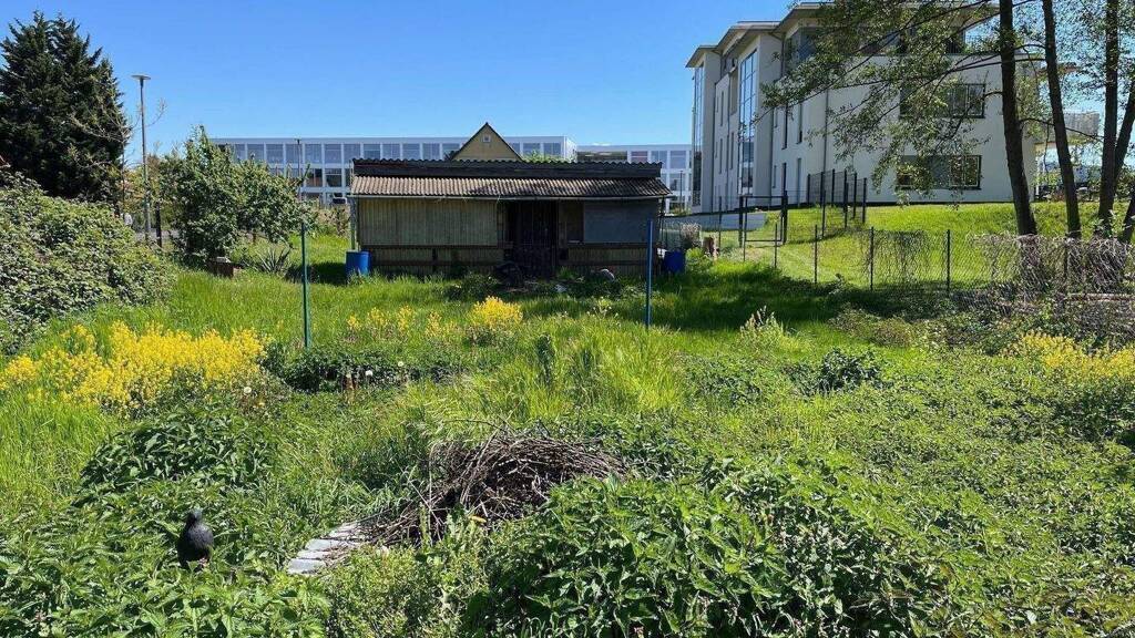 Grundstück zum Kauf 405.000 € 820 m² Grundstück Mahlsdorf Berlin 12623