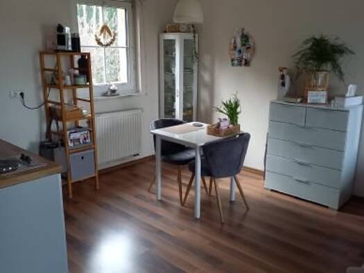 Studio zur Miete 420 € 1 Zimmer 36 m² 1. Geschoss frei ab sofort Oberwildenau Luhe-Wildenau 92706