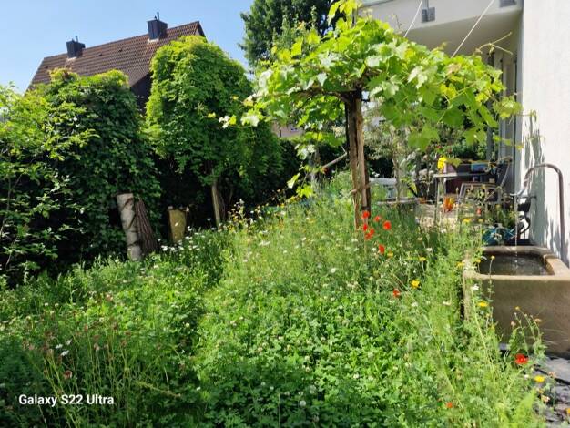 Haus zum Kauf provisionsfrei 585.000 € 4 Zimmer 110 m² 125 m² Grundstück Nordstadt Fürth 90765