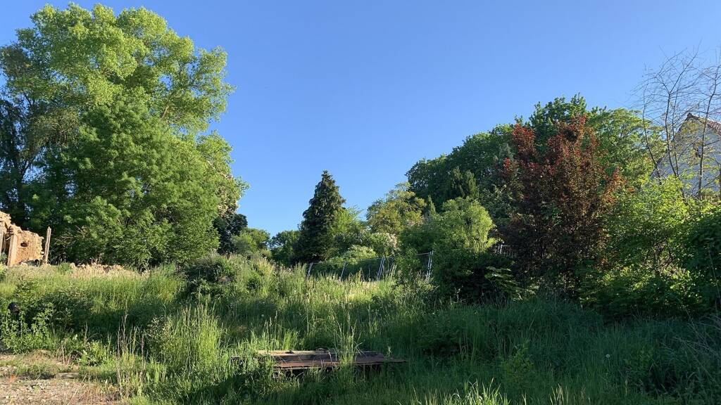 Sonstiges zum Kauf 150.000 € 1.690 m² Grundstück Prohn 18445