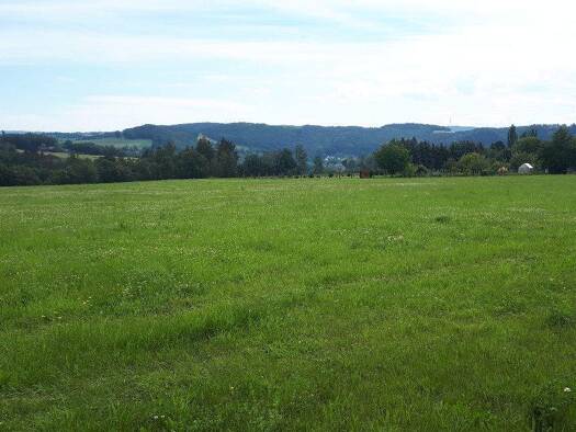 Grundstück zum Kauf 1.004 m² Grundstück Elsterberg 07985