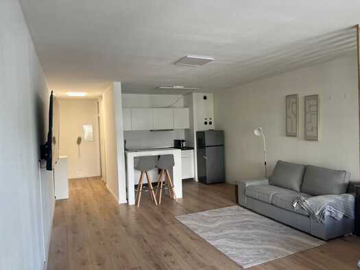 Wohnung zur Miete 1.000 € 1 Zimmer 45 m² Geschoss 2/4 frei ab sofort Wiesbaden Wiesbaden 65189