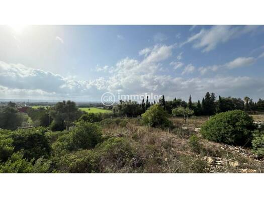 Wohn- und Gewerbegrundstück zum Kauf 750.000 € Alcúdia 07400