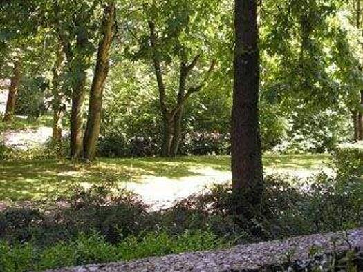 Wohnung zur Miete 414 € 1 Zimmer 32 m² 3. Geschoss frei ab 01.03.2026 Mühlenstraße 26 Erkrath 40699