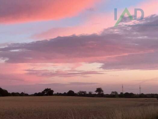 Grundstück zum Kauf 325.000 € 800 m² Grundstück Tangstedt 25499