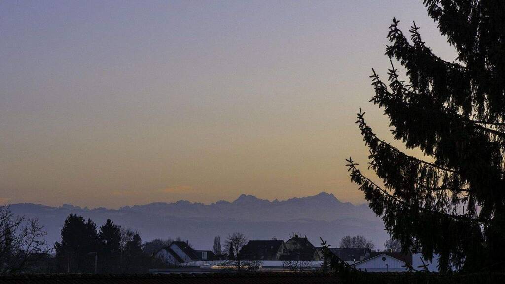 Einfamilienhaus zum Kauf provisionsfrei 1.195.000 € 9,5 Zimmer 253 m² 820 m² Grundstück Langenargen 88085