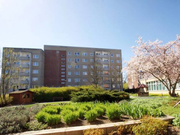 Wohnung zur Miete 184 € 1 Zimmer 34,2 m² 3. Geschoss Kastanienweg 5 Chrieschwitz Plauen 08529