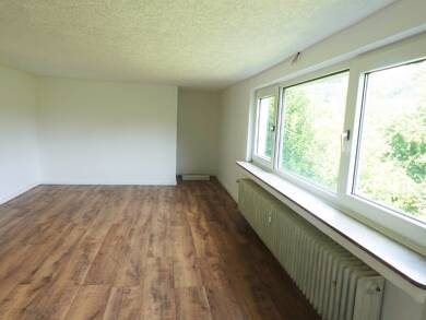 Wohnung zur Miete 590 € 2 Zimmer 52 m² Souterrain Hausen Heimbach 52396
