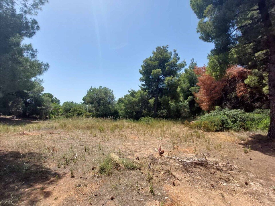 Land-/Forstwirtschaft zum Kauf 140.000 € 1.140 m²<br/>Grundstück Chalkidiki