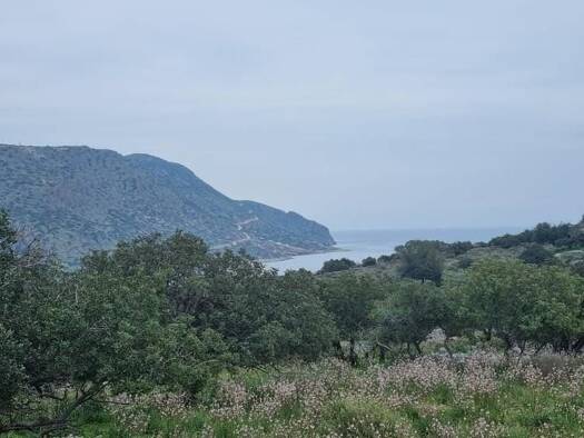 Grundstück zum Kauf 350.000 € 8.149 m² Grundstück Kreta Municipality of Agios Nikolaos 720 53