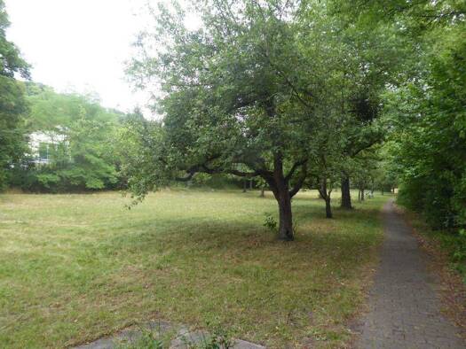 Grundstück zum Kauf 250.000 € 3.157 m² Grundstück Schwarzenberg Scheinfeld 91443