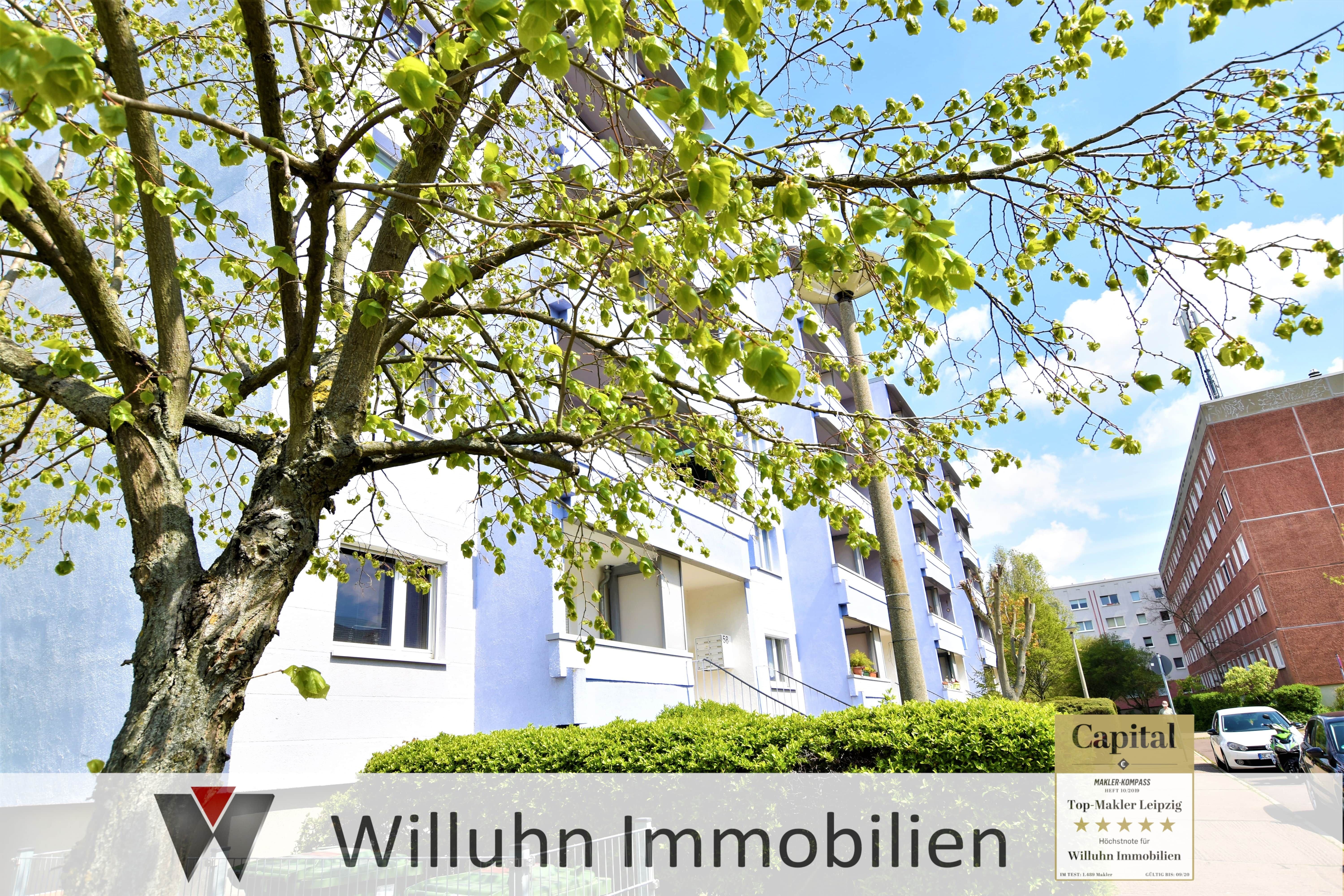 Wohnung zur Miete 215 € 1 Zimmer 35,1 m²<br/>Wohnfläche EG<br/>Geschoss Werner-Seelenbinder-Ring 58 Süd 45 Dessau-Roßlau 06849