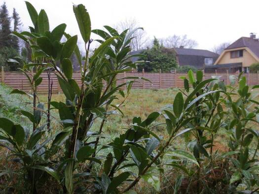 Grundstück zum Kauf 850.000 € 2.700 m² Grundstück Halstenbek 25469