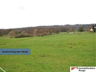 Bauernhaus zum Kauf 365.000 € 350 m² 40.000 m² Grundstück Antendorf Auetal 31749